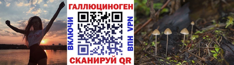 Псилоцибиновые грибы Psilocybine cubensis  это наркотические препараты  Жирновск  mega как войти 